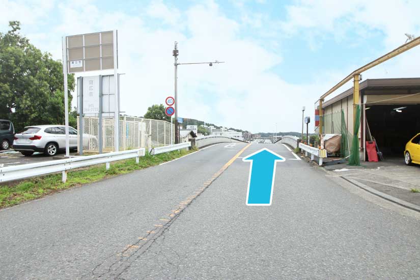 陸橋を渡ります