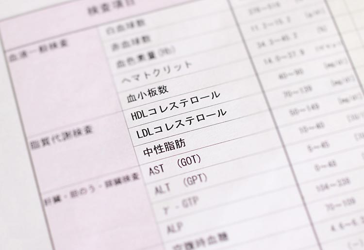 脂質異常症画像